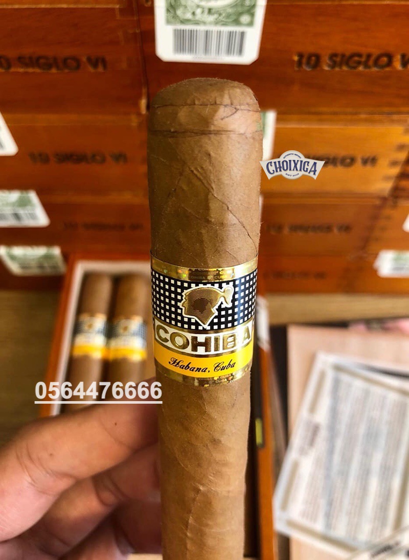 gia-xi-ga-cohiba-6-hop-10-dieu