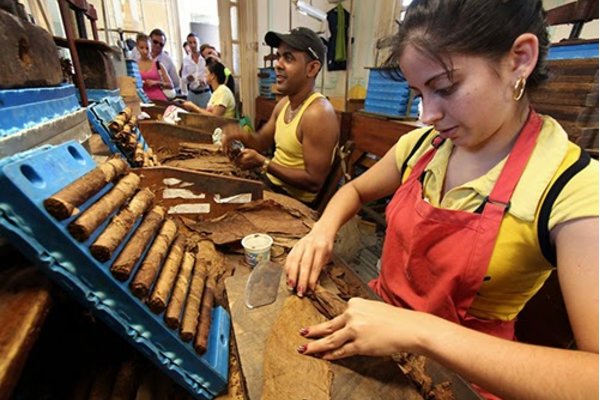 Quy trình sản xuất xì gà tại CUBA .