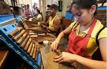 Quy trình sản xuất xì gà tại CUBA .